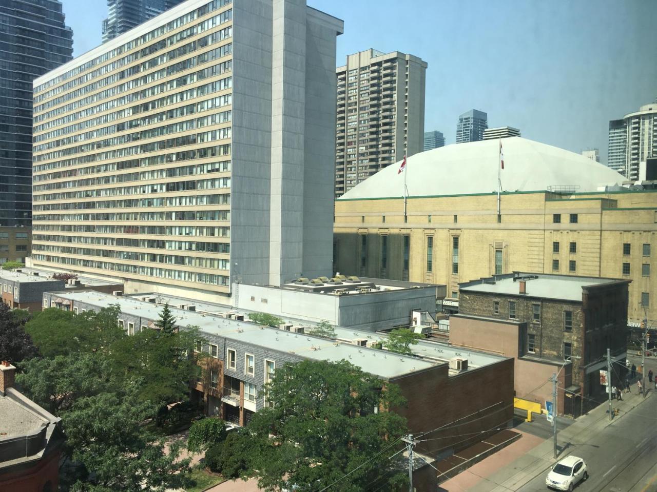 Toronto Metropolitan University-Daphne Cockwell Complex Residence Room photo